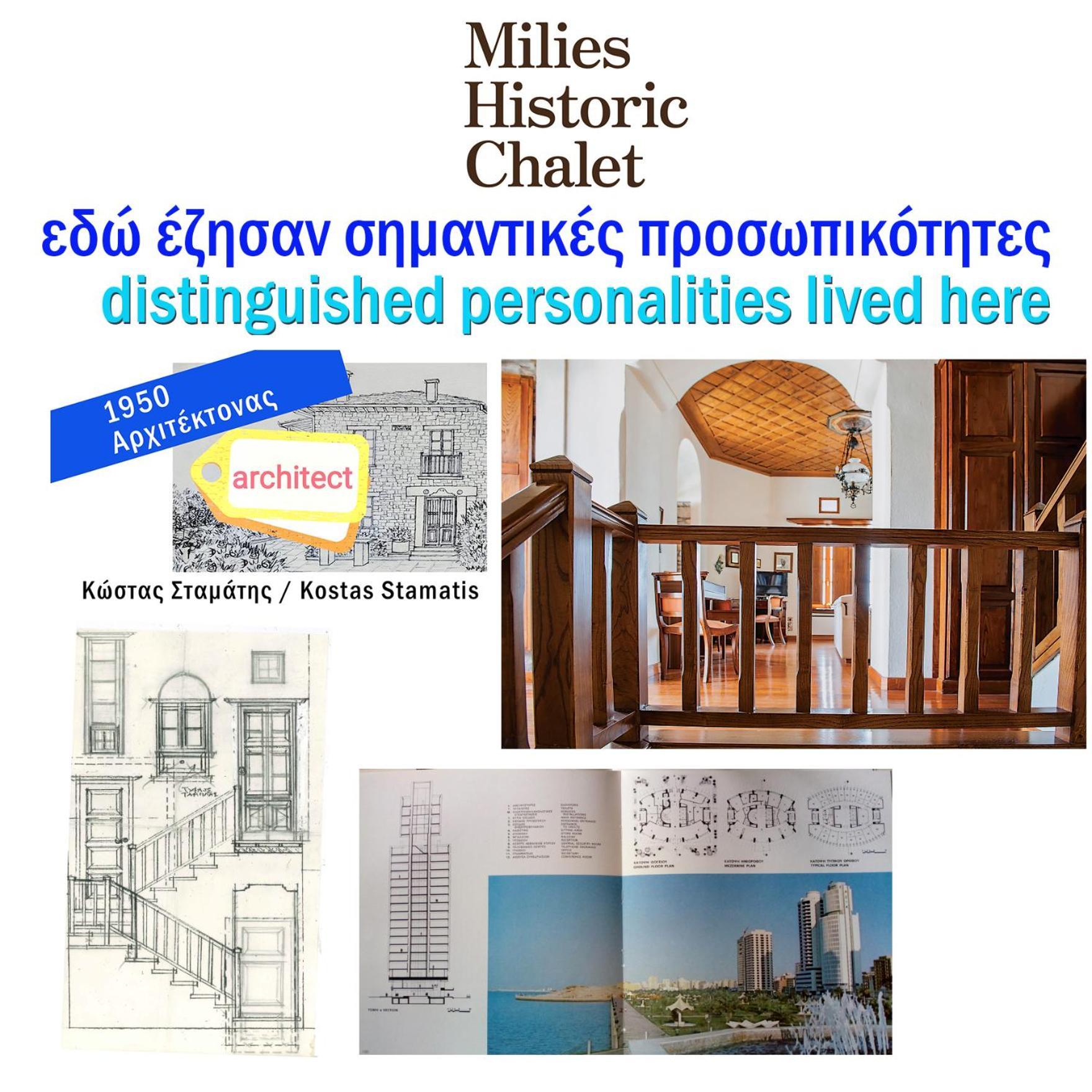 Milies Historic Chalet Pelion Miléai Extérieur photo