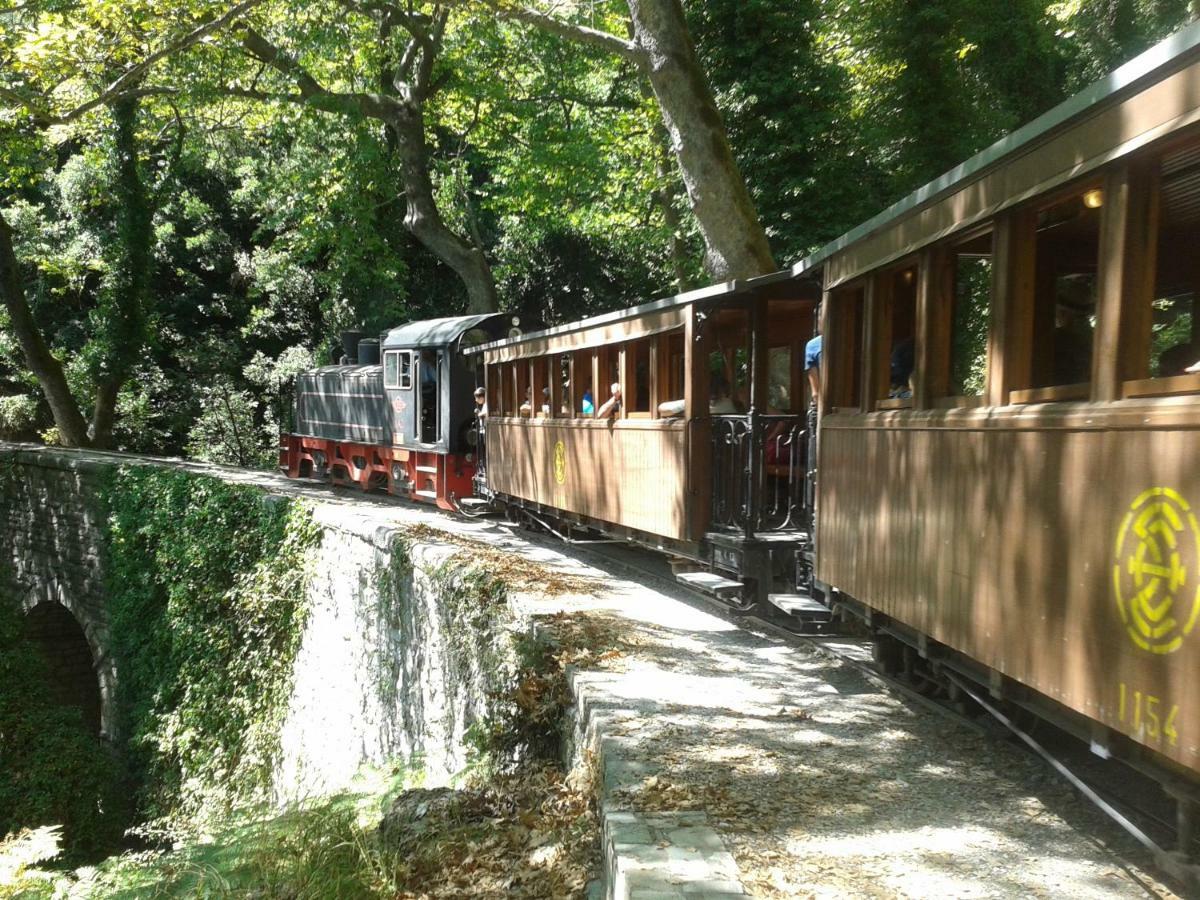 Milies Historic Chalet Pelion Miléai Extérieur photo