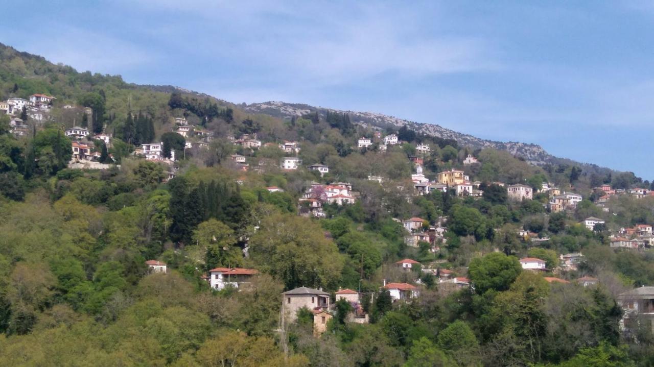 Milies Historic Chalet Pelion Miléai Extérieur photo